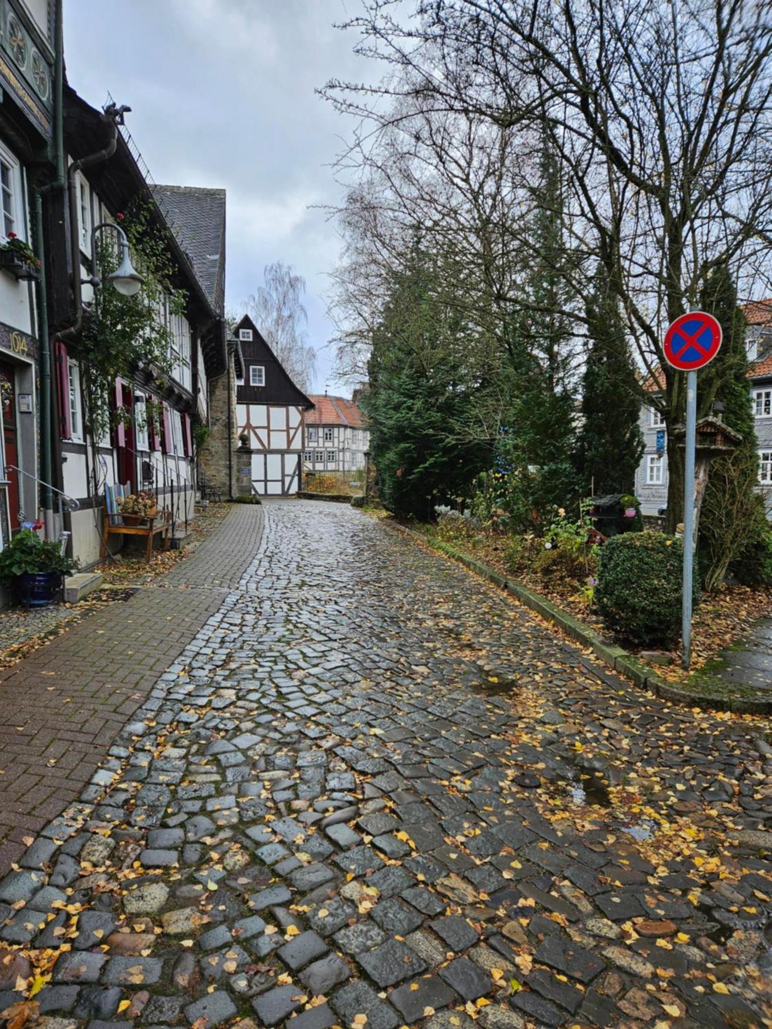 Apartment Ackerbuergerhaus *